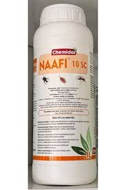 NAAFİ 10 SC 1 LT