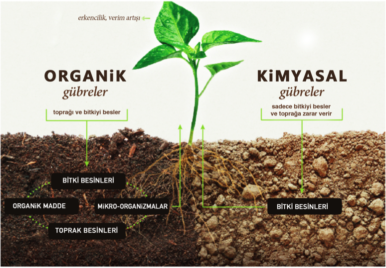 GÜBRELER